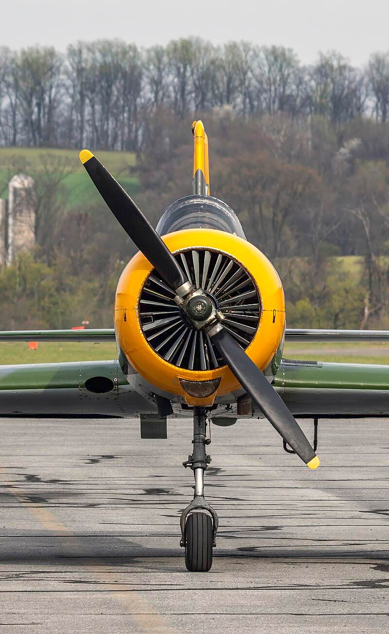 N22591 - Warbird