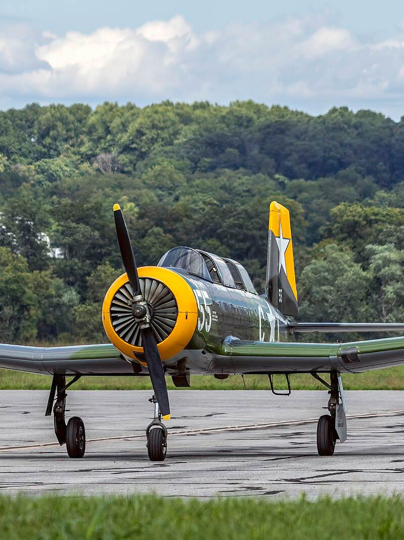 N22591 - Warbird