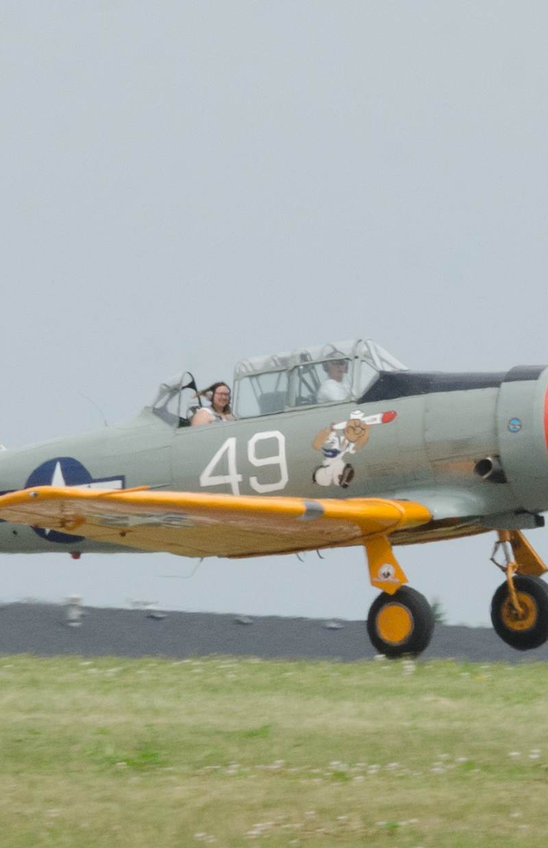 N29931 - Warbird