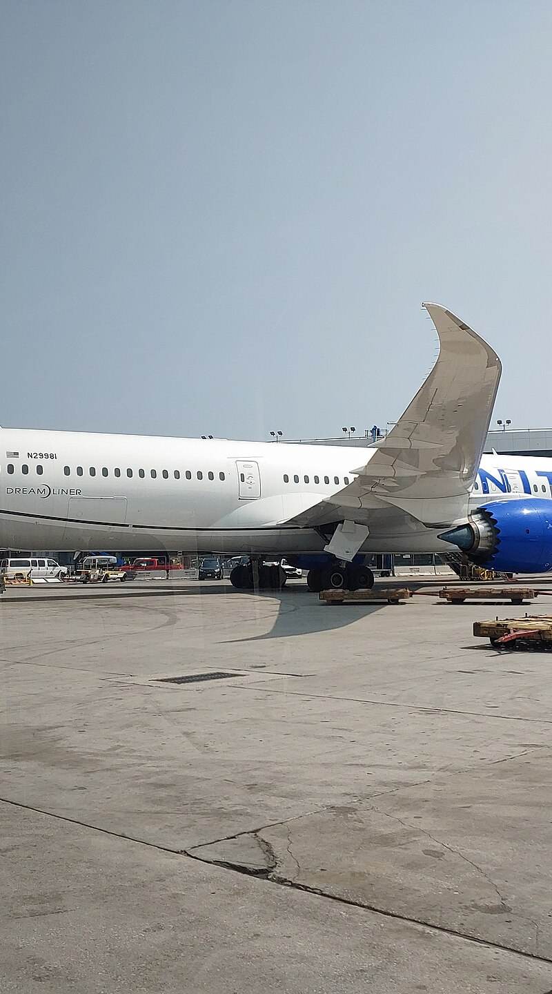 N29981 - Twin-engine aircraft