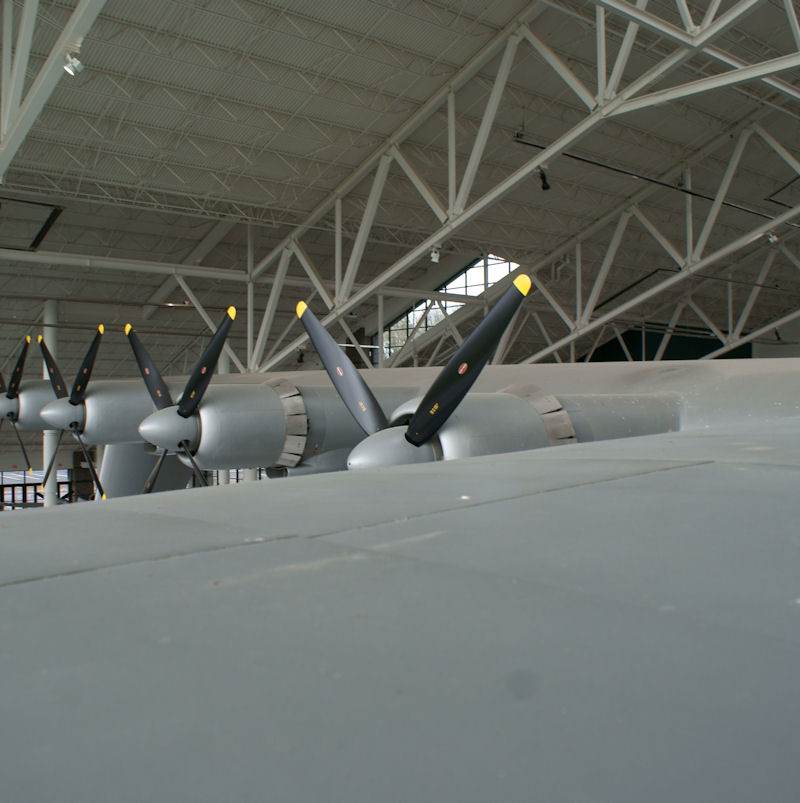  - Warbird