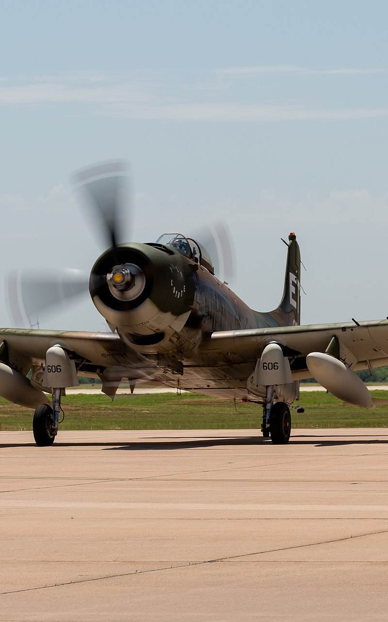 N39606 - Warbird