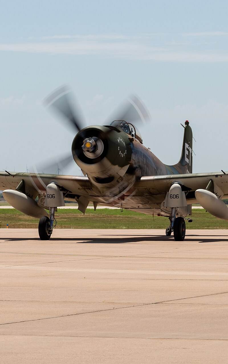 N39606 - Single-engine aircraft