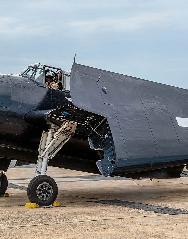  - Warbird