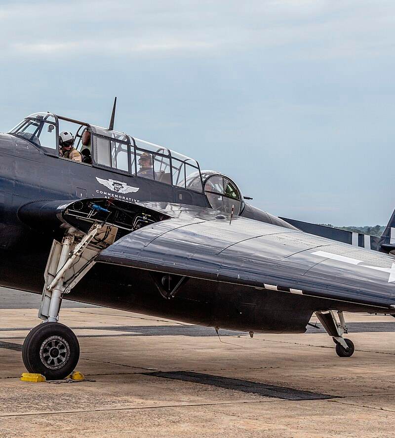  - Warbird