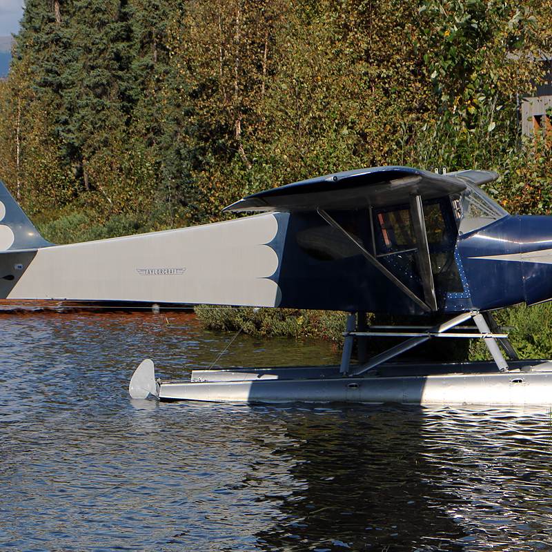 N43021 - Single-engine aircraft