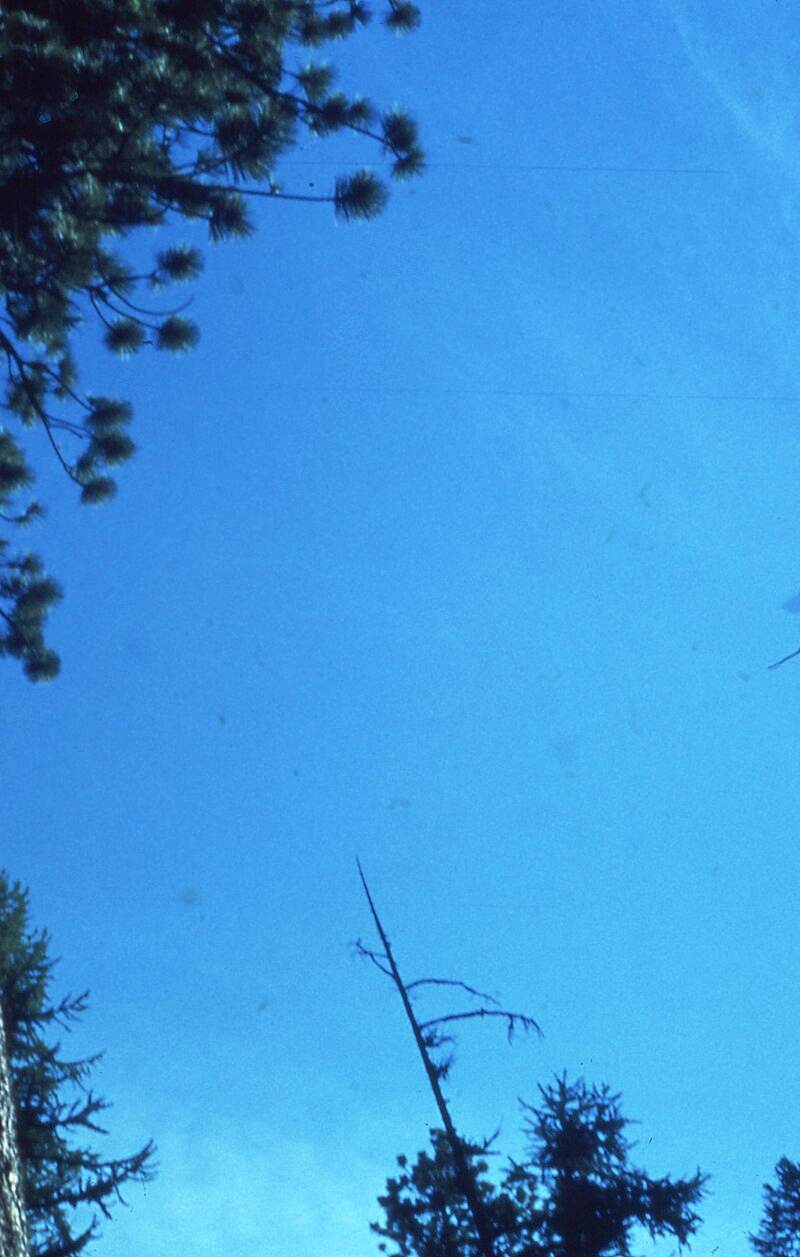 N47276 - Helicopter