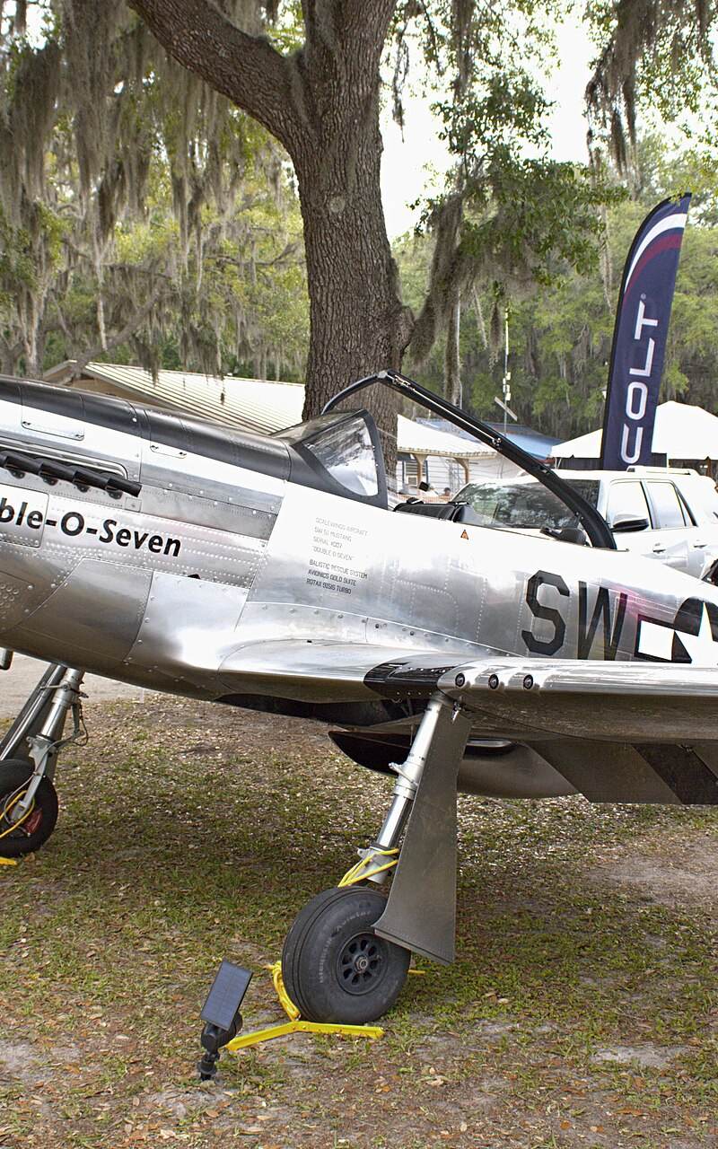 N51007 - Warbird