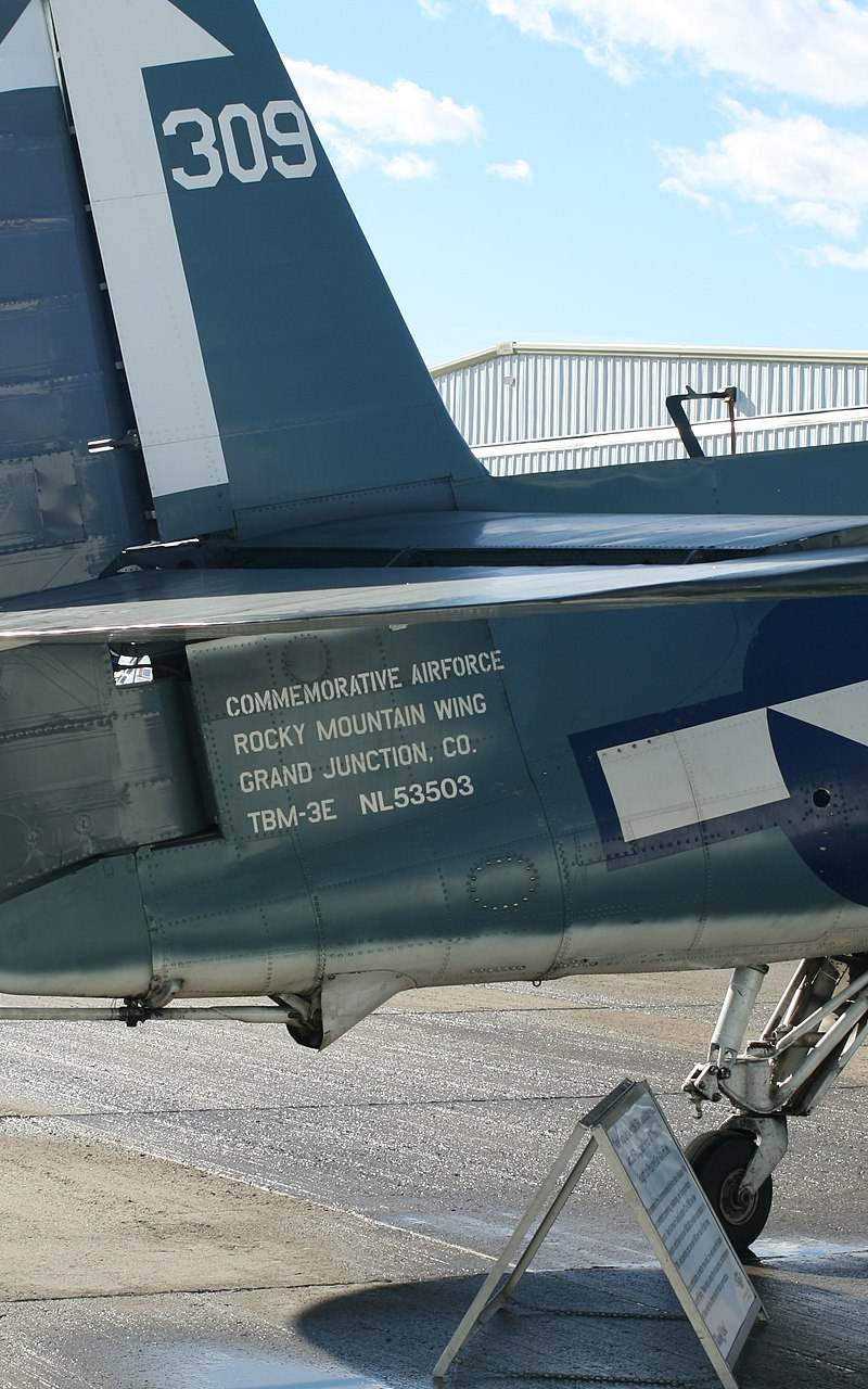 N53503 - Warbird
