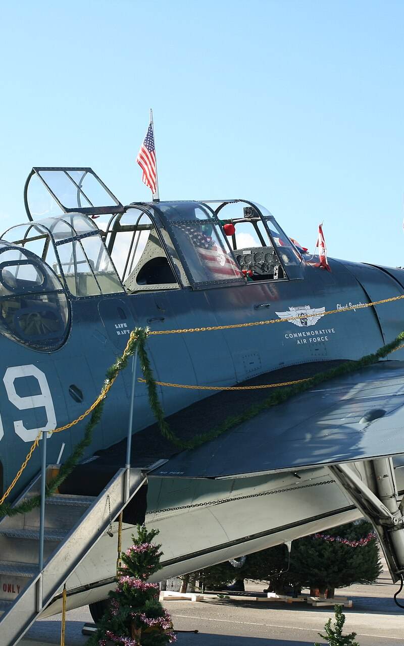 N53503 - Warbird
