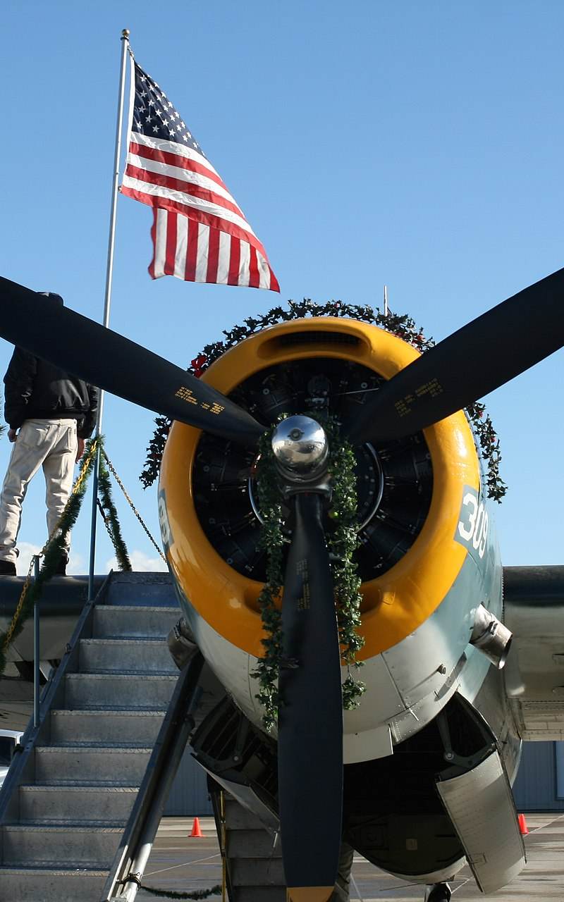 N53503 - Warbird