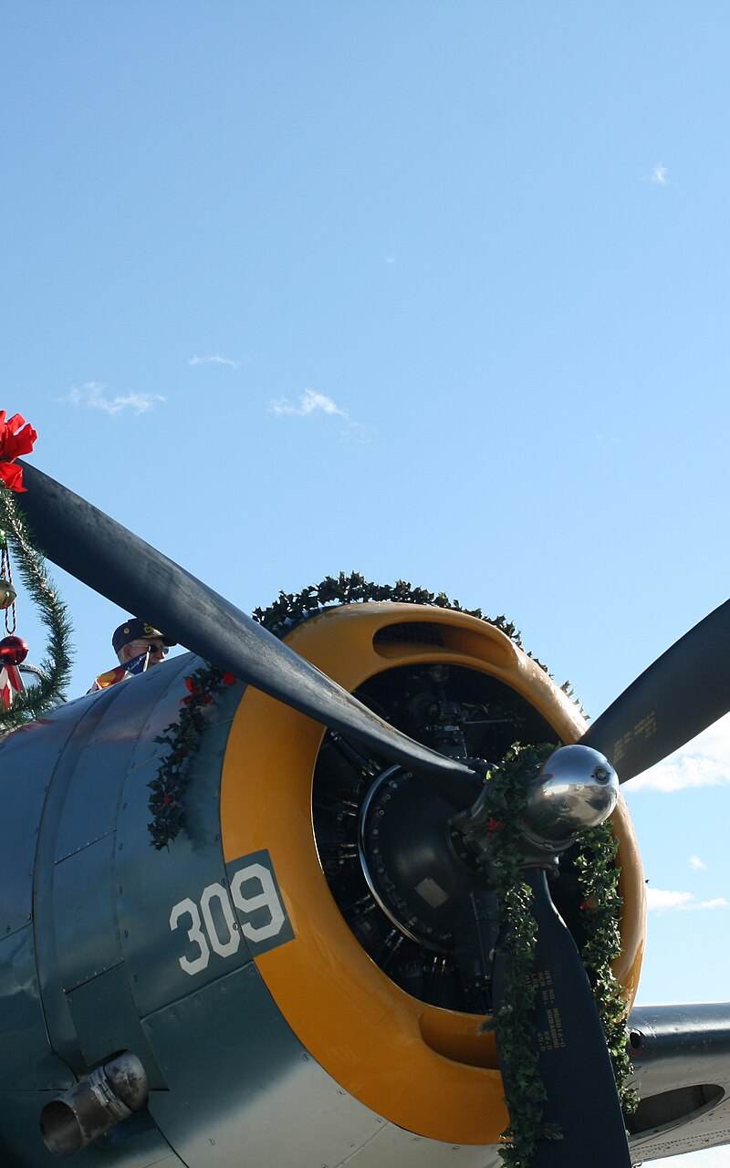 N53503 - Warbird