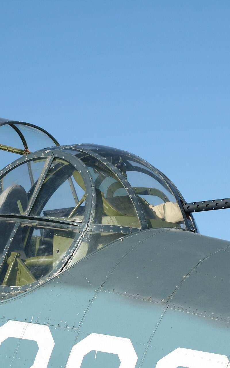 N53503 - Warbird