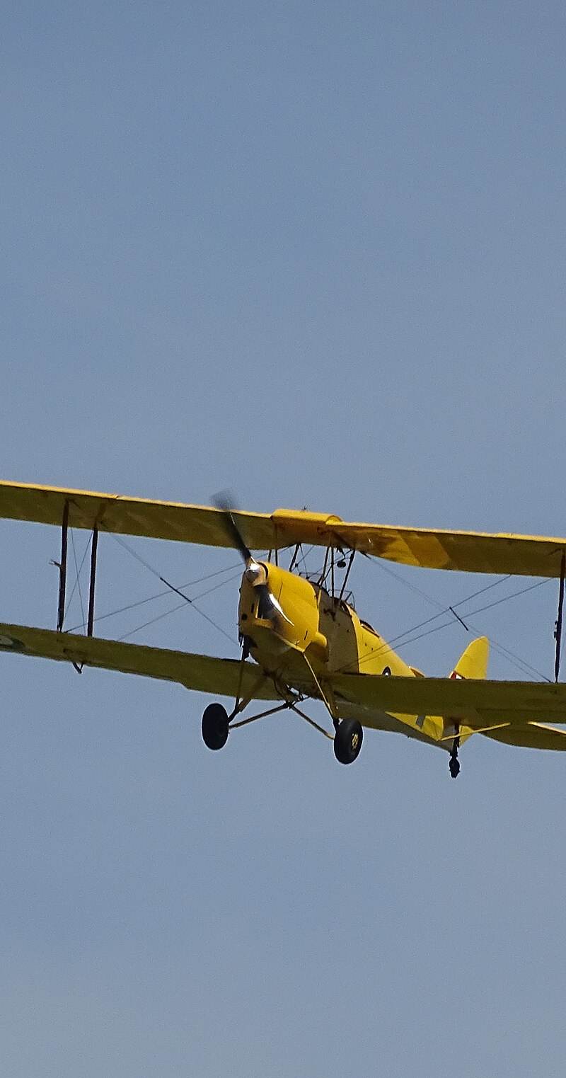 N54556 - Single-engine aircraft