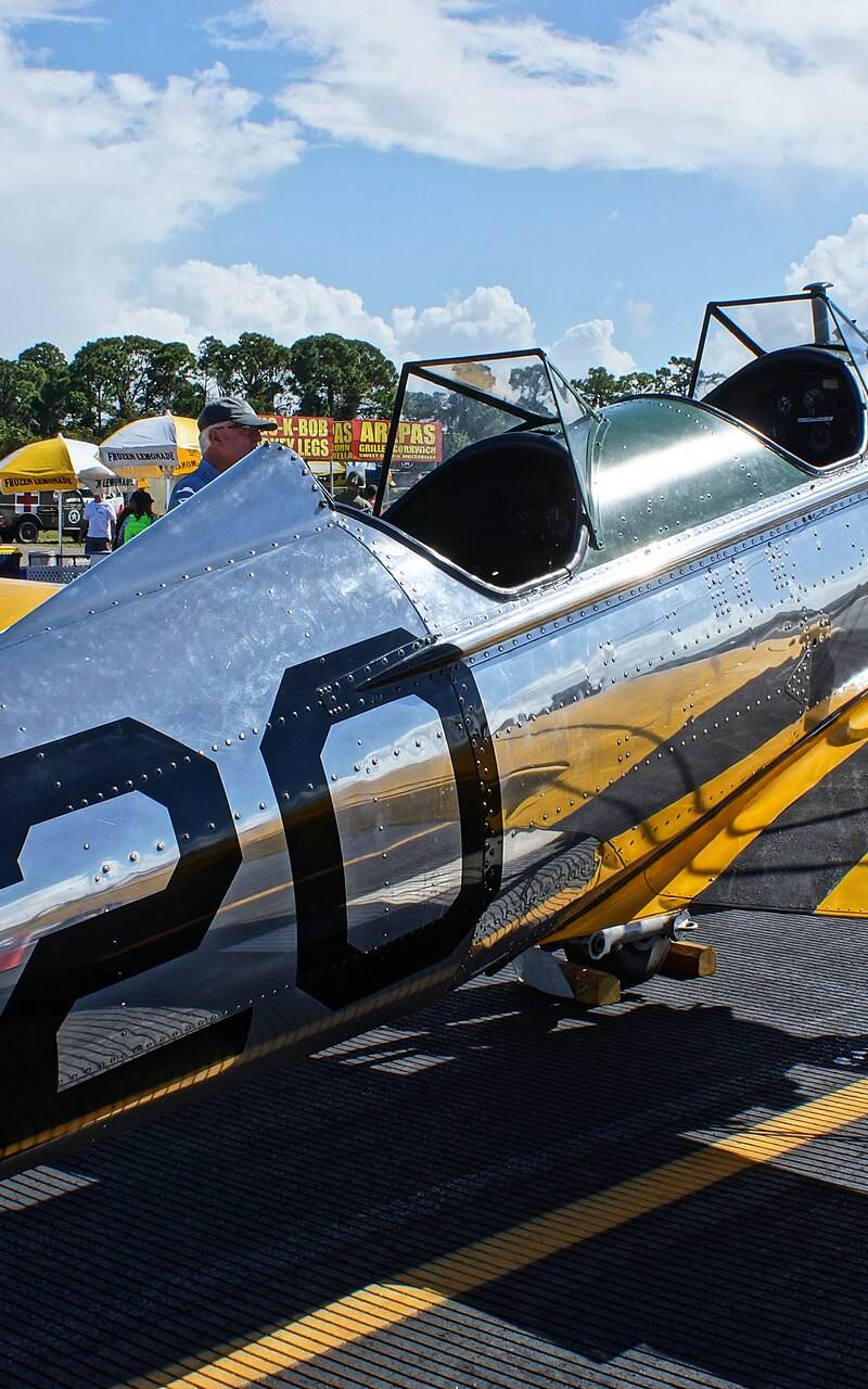  - Warbird
