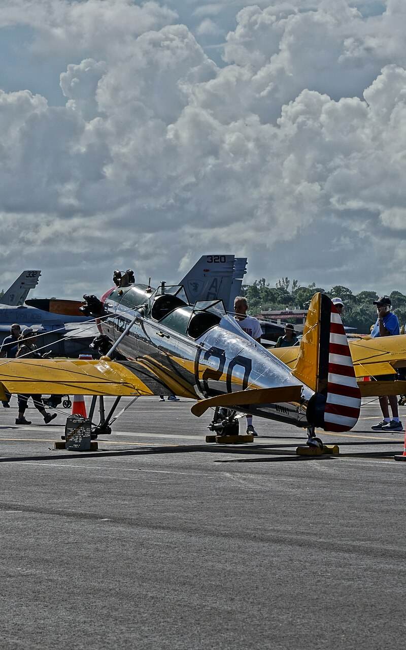  - Warbird