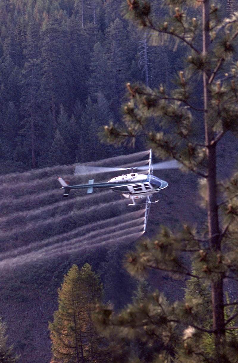 N59558 - Helicopter
