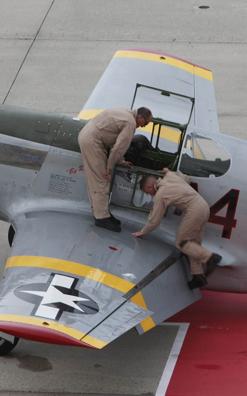  - Warbird