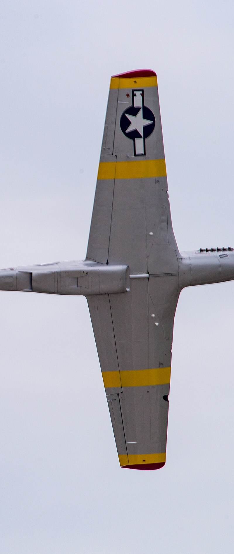  - Warbird