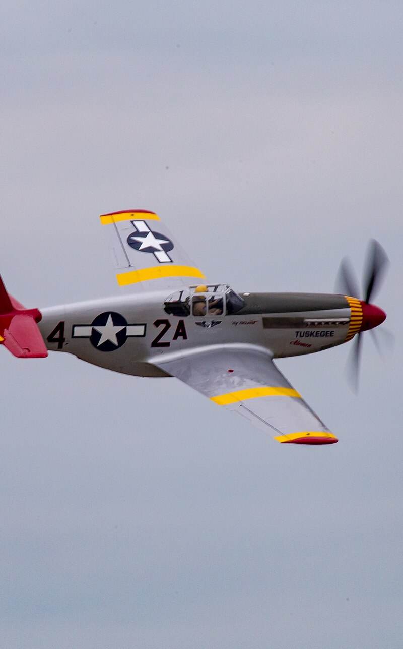  - Warbird