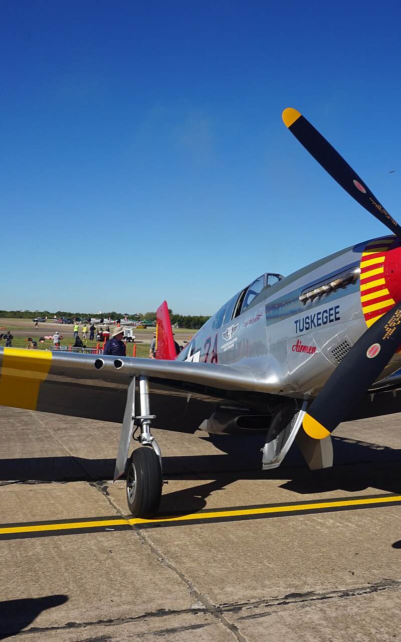  - Warbird
