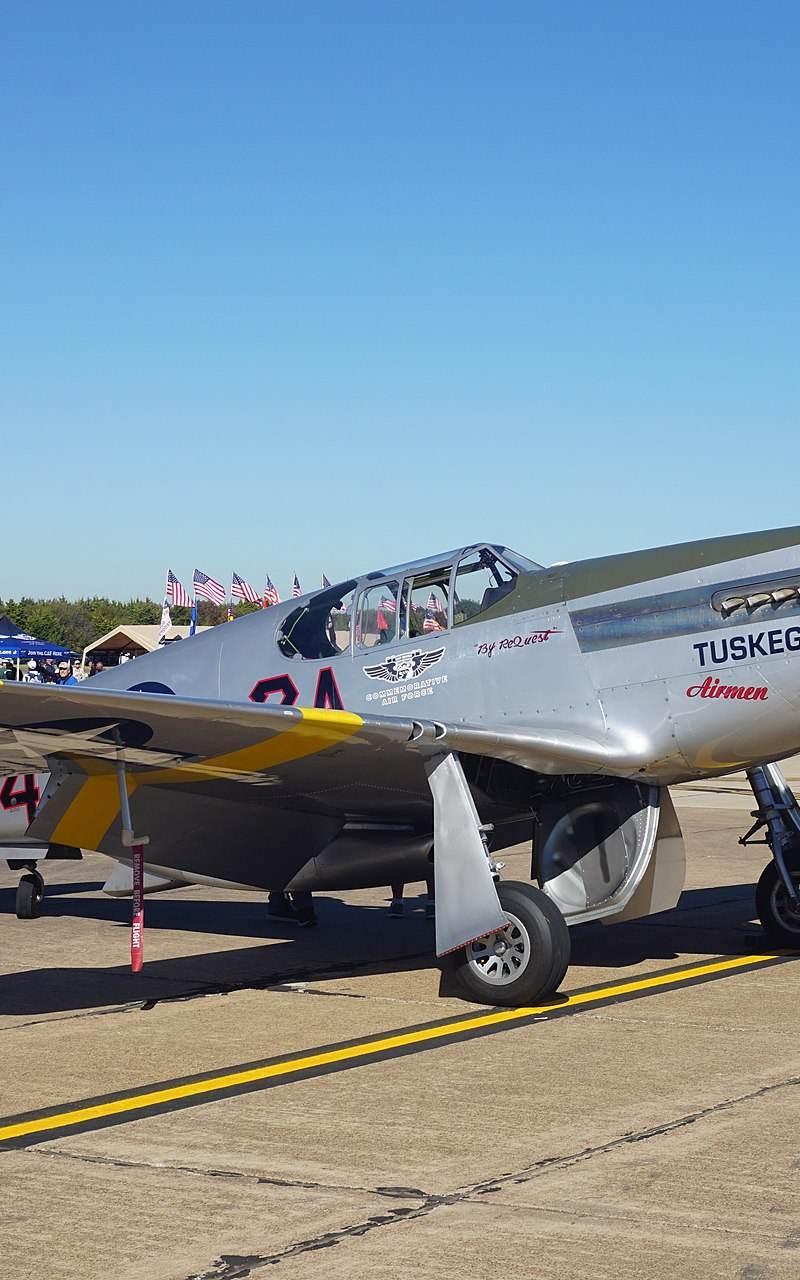  - Warbird