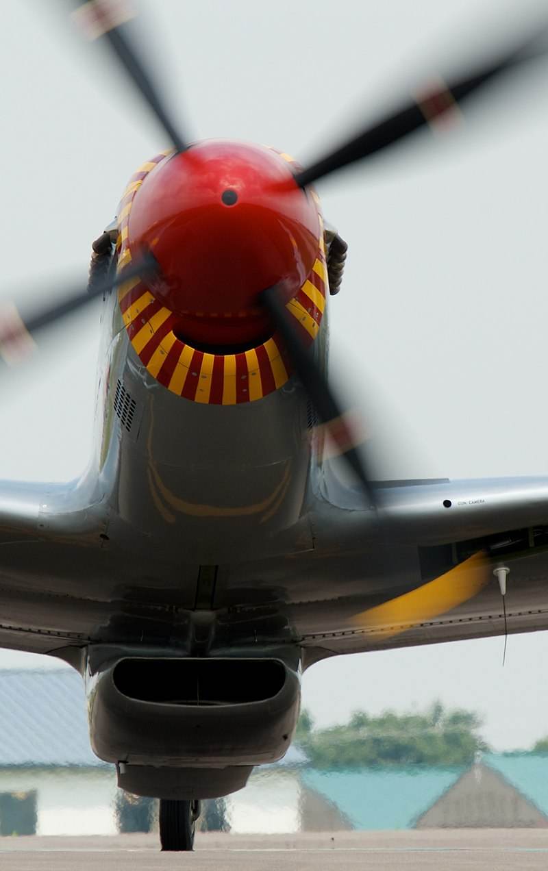  - Warbird