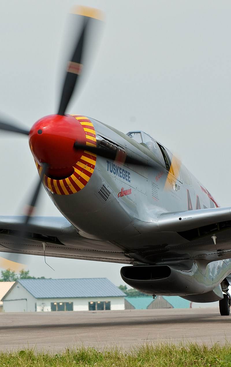  - Warbird