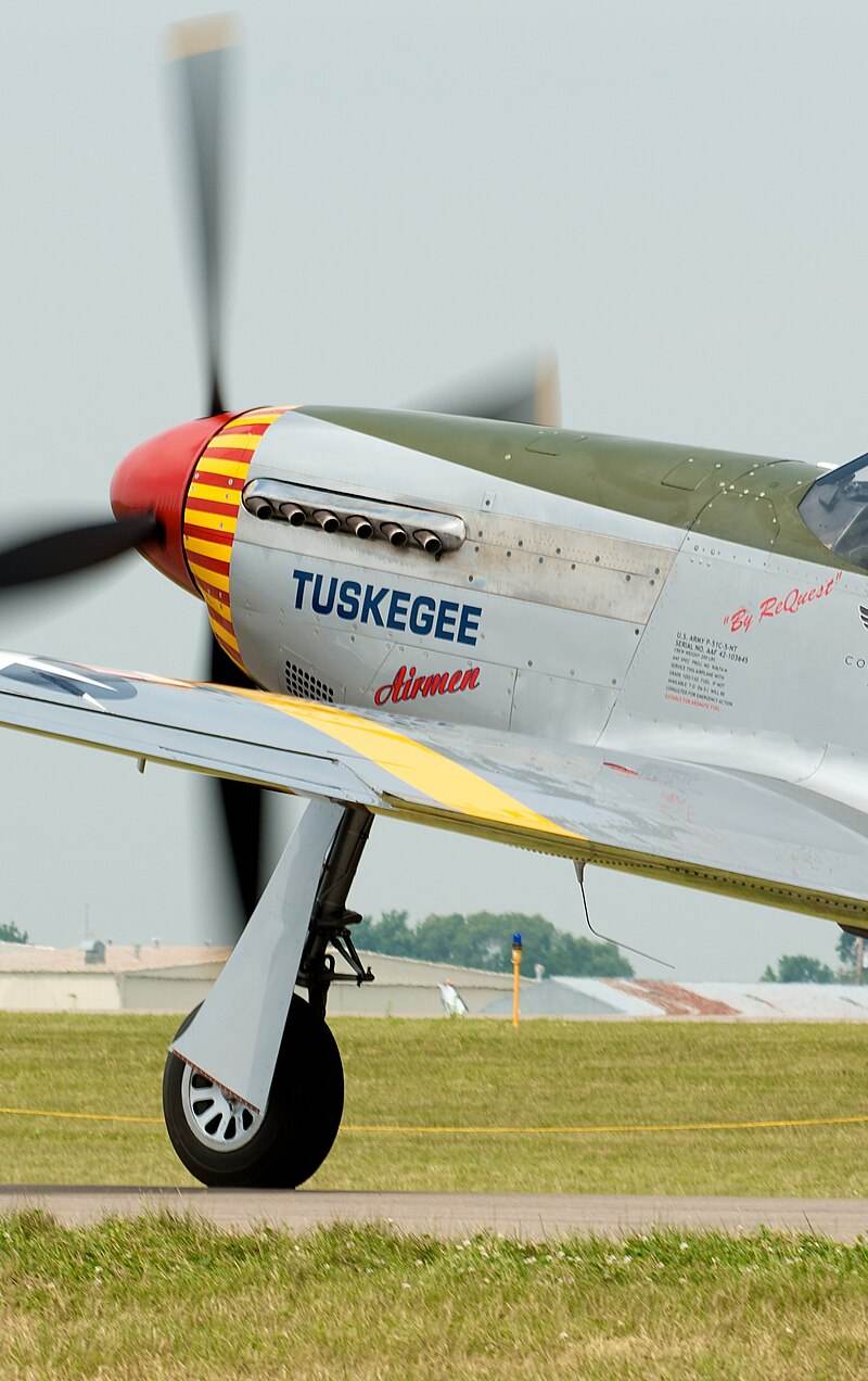  - Warbird
