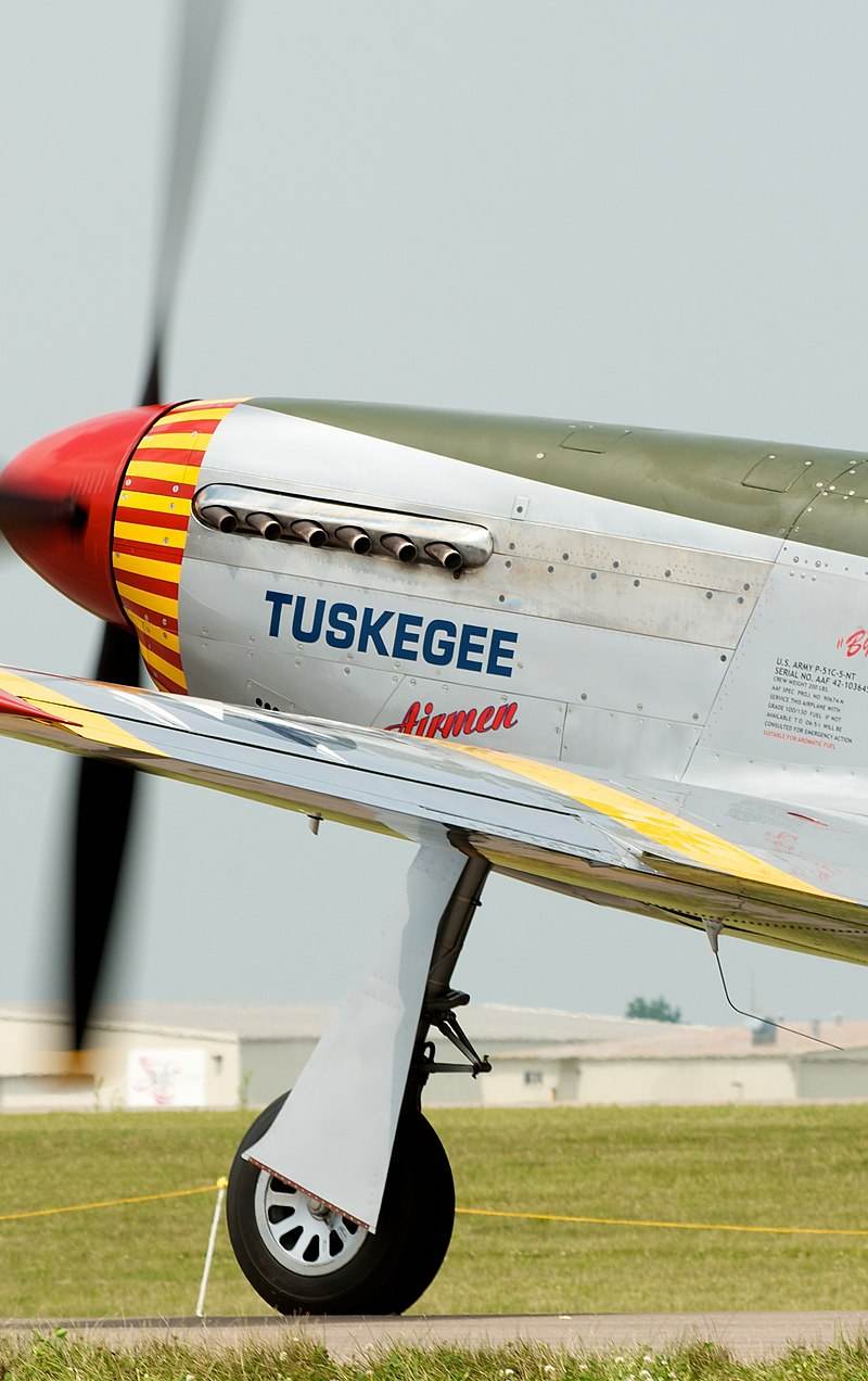  - Warbird