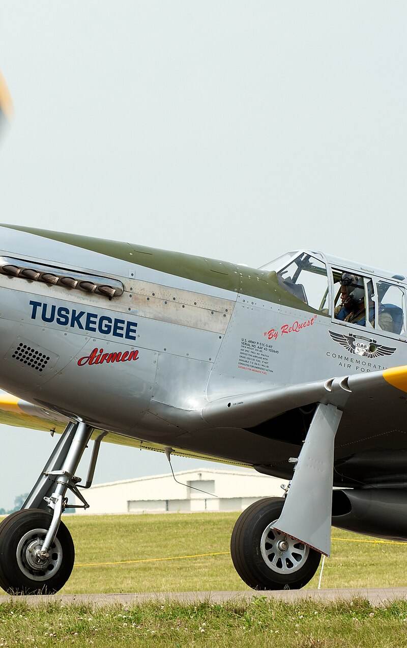  - Warbird