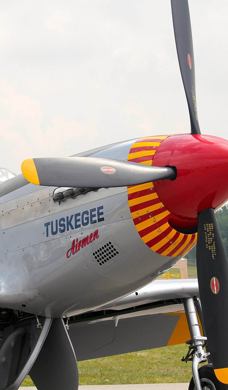  - Warbird