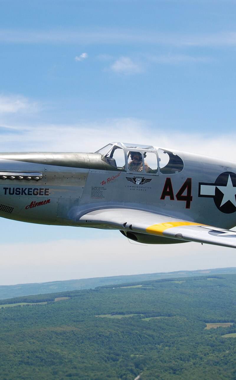  - Warbird