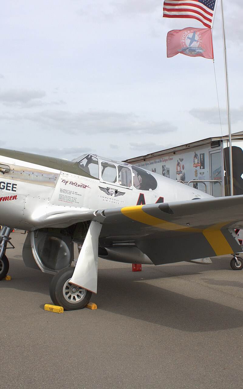 N61429 - Warbird