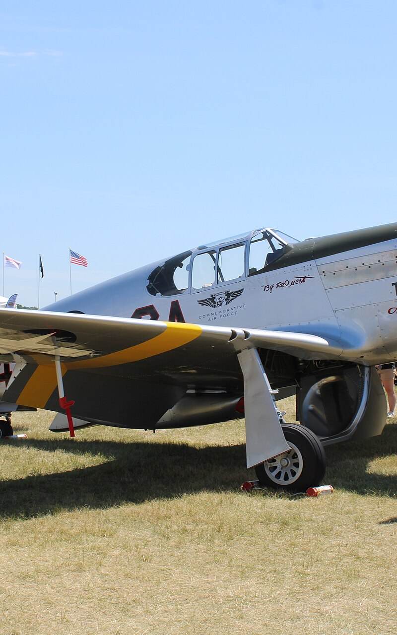  - Warbird