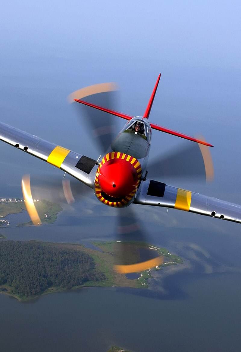  - Warbird