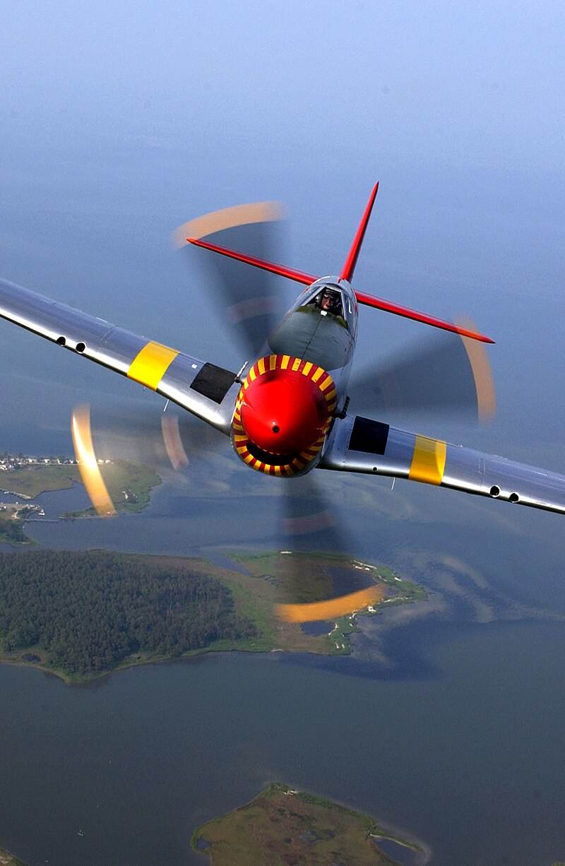  - Warbird