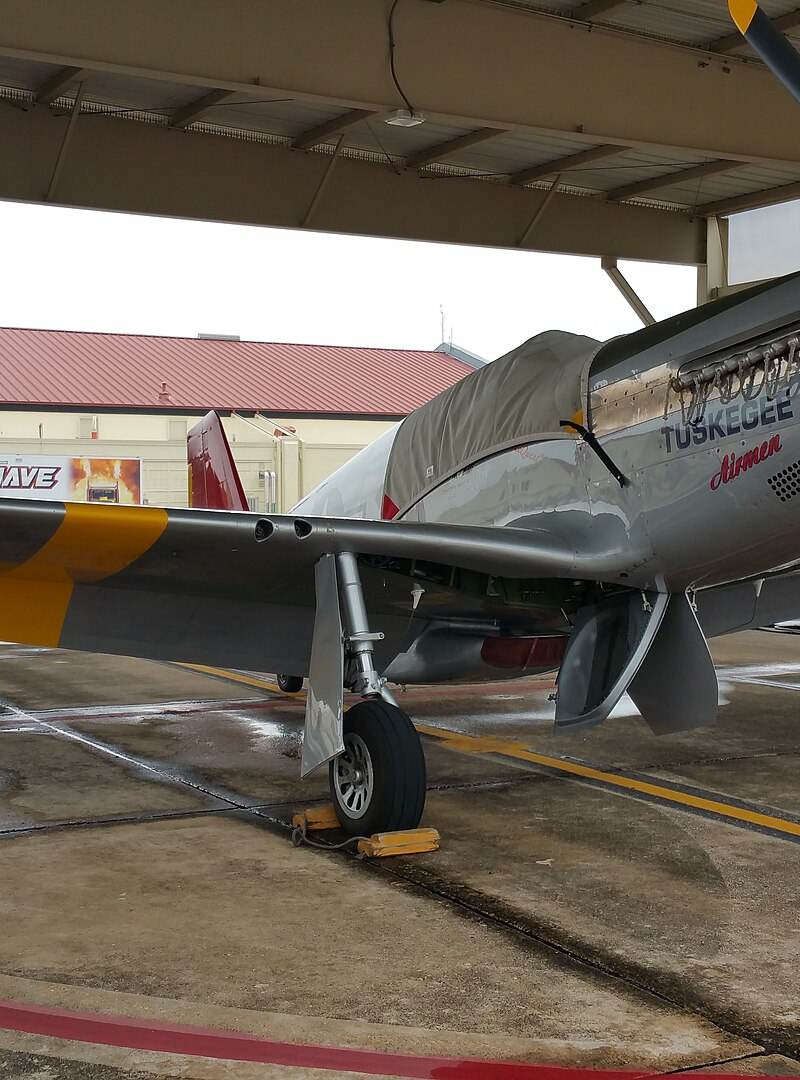  - Warbird