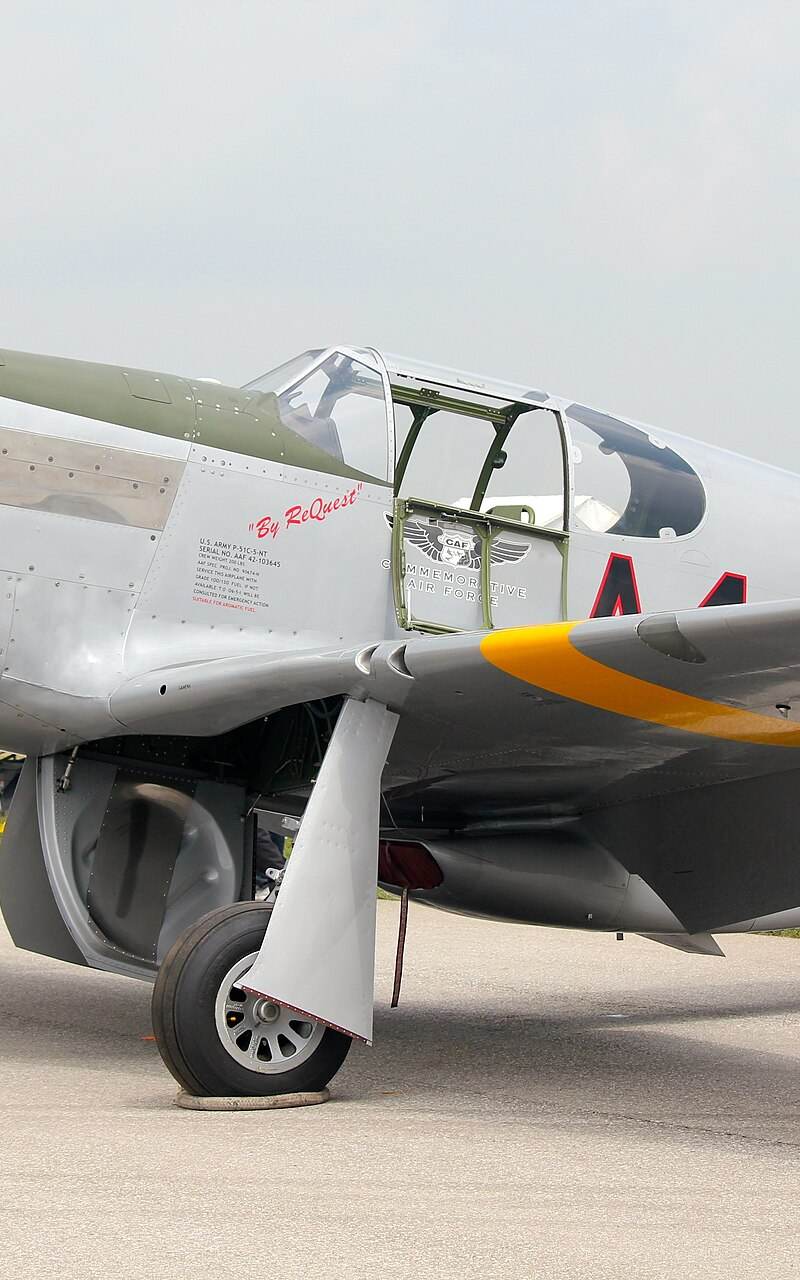  - Warbird