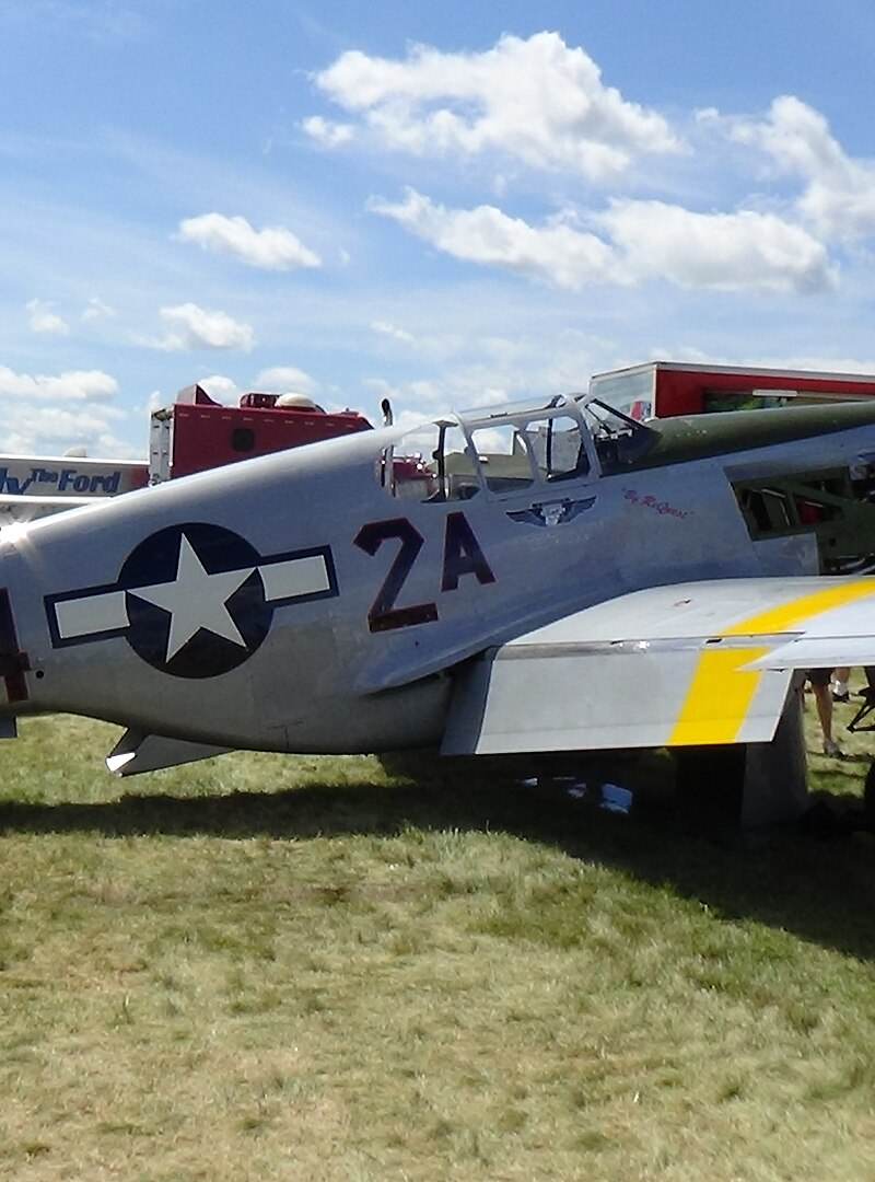  - Warbird