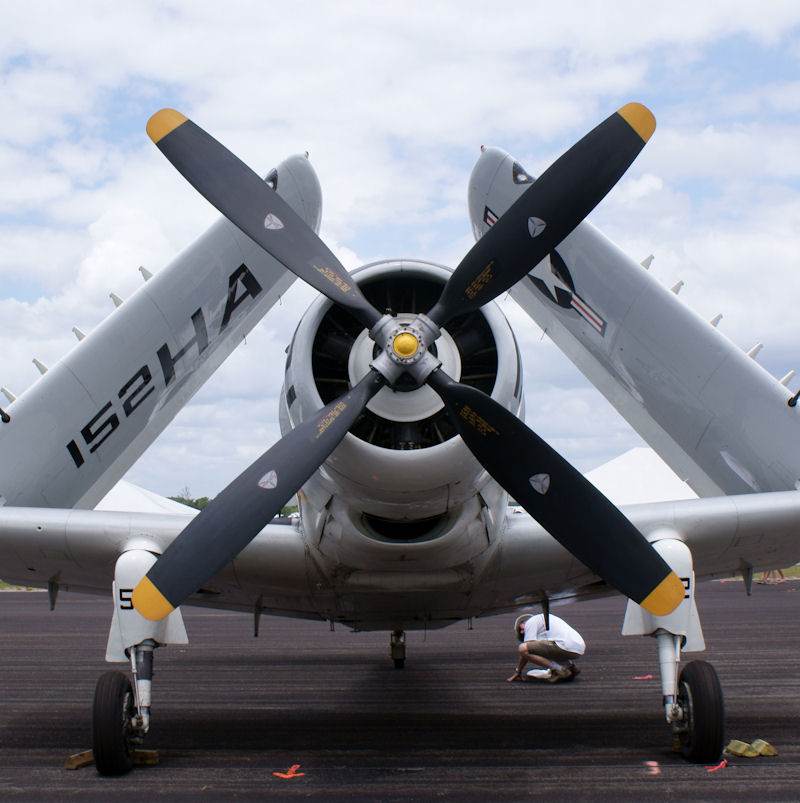 N65164 - Single-engine aircraft