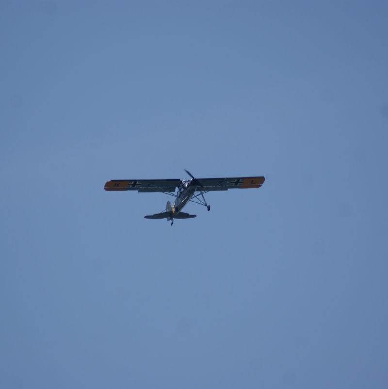  - Warbird