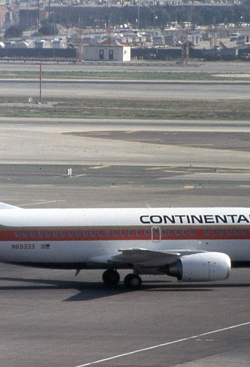 N69333 - Twin-engine aircraft