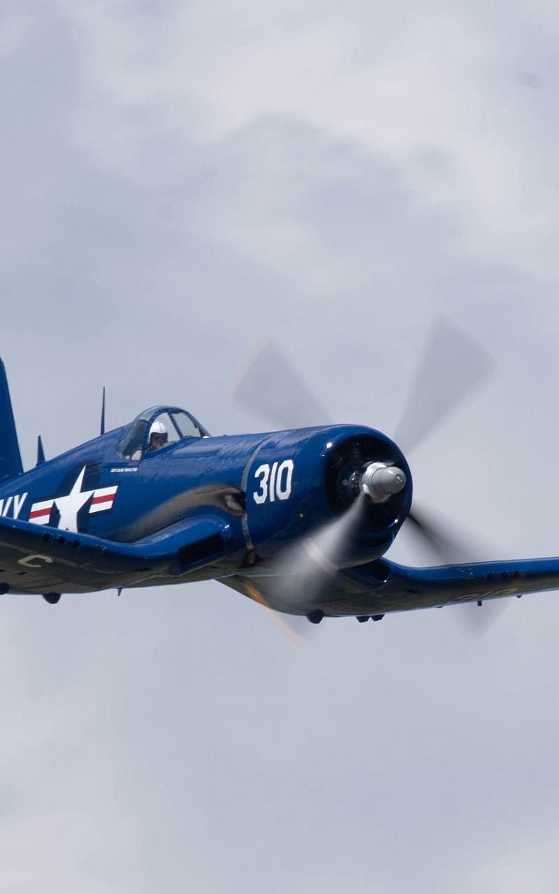 N72378 - Warbird