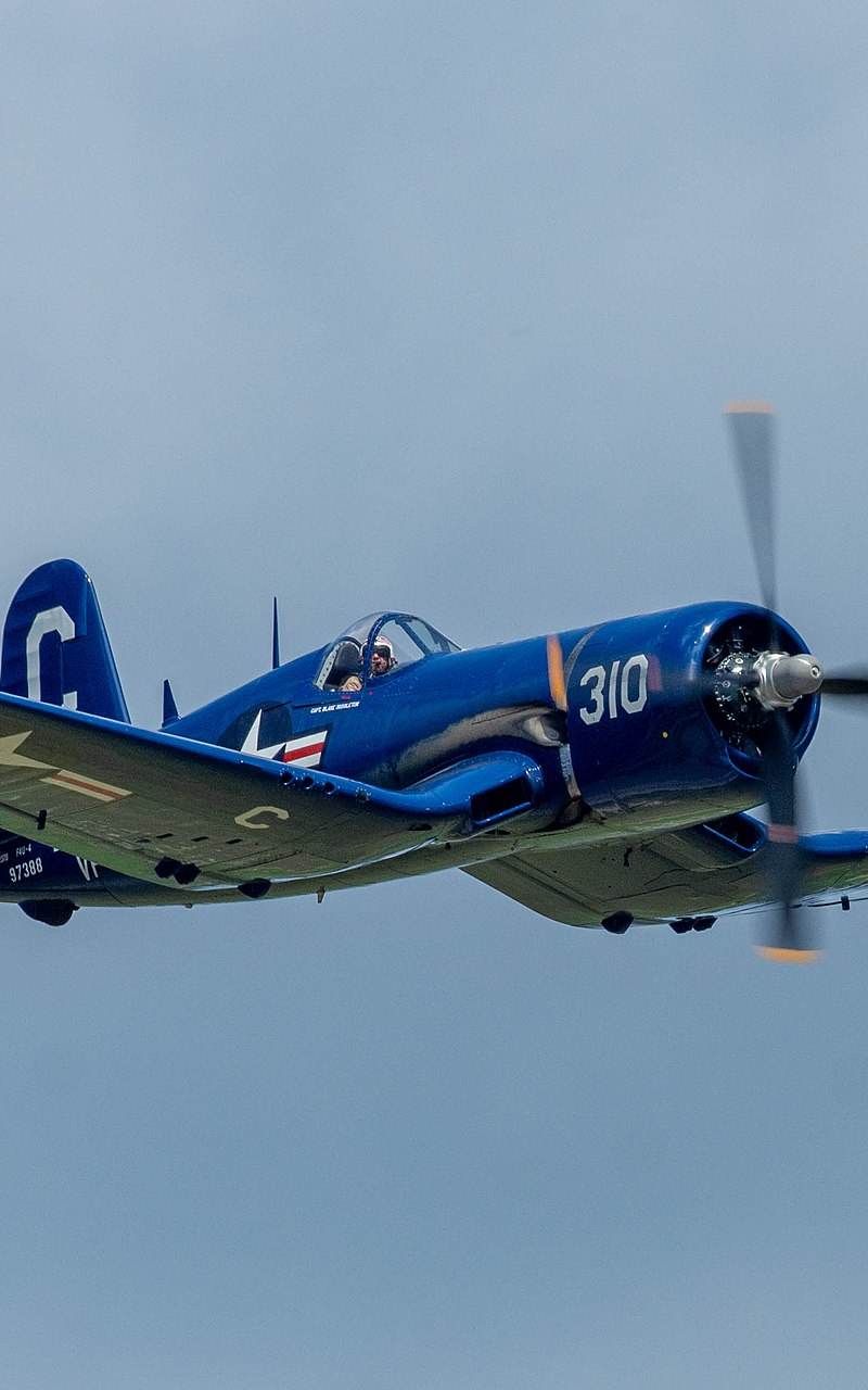 N72378 - Warbird