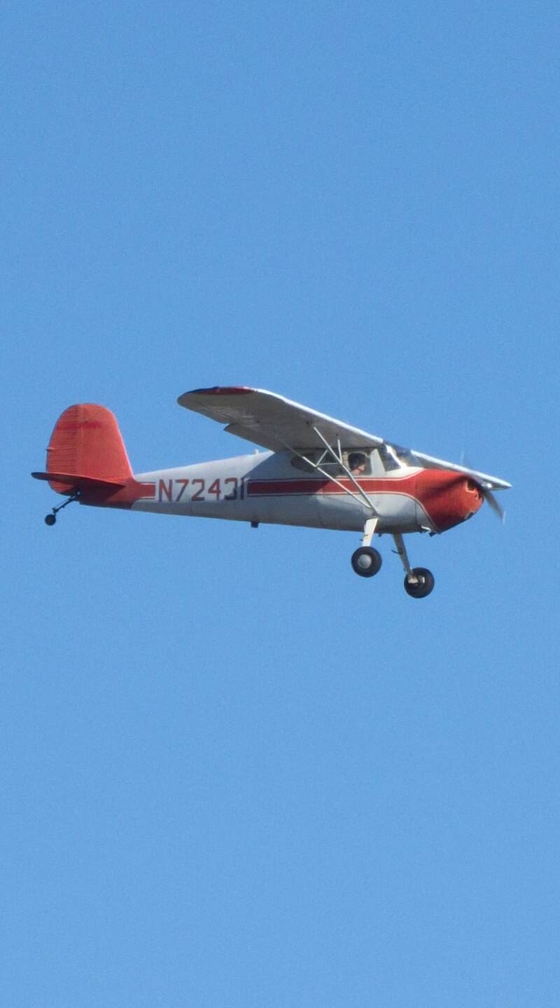 N72431 - Single-engine aircraft