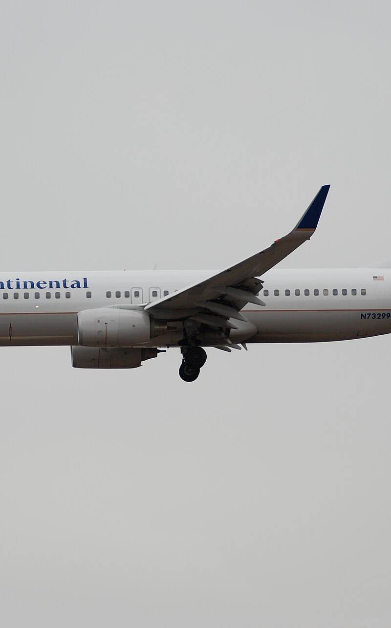 N73299 - Twin-engine aircraft