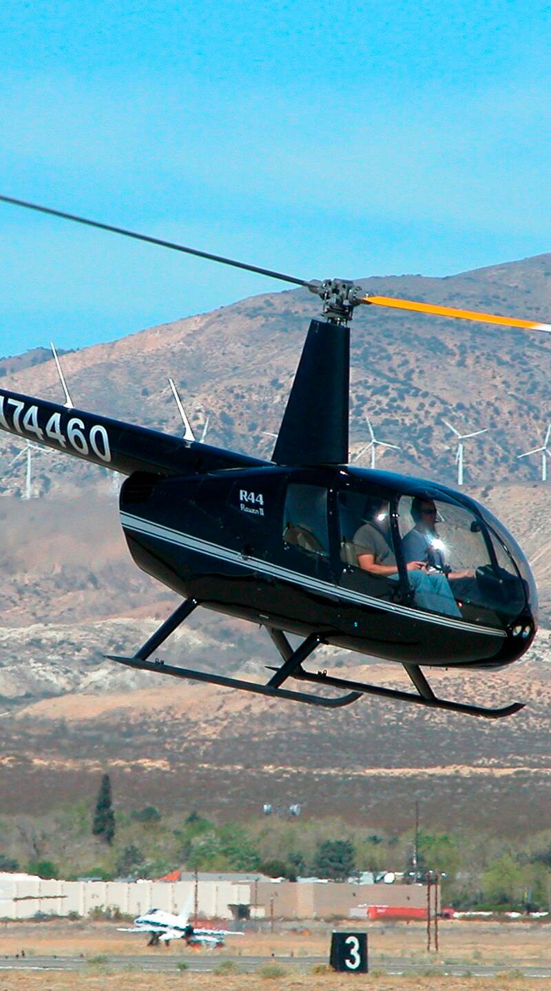 N74460 - Robinson
