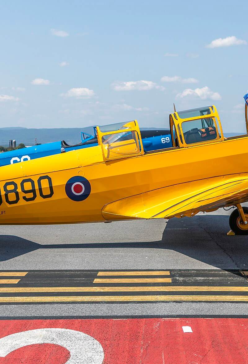 N79307 - Single-engine aircraft