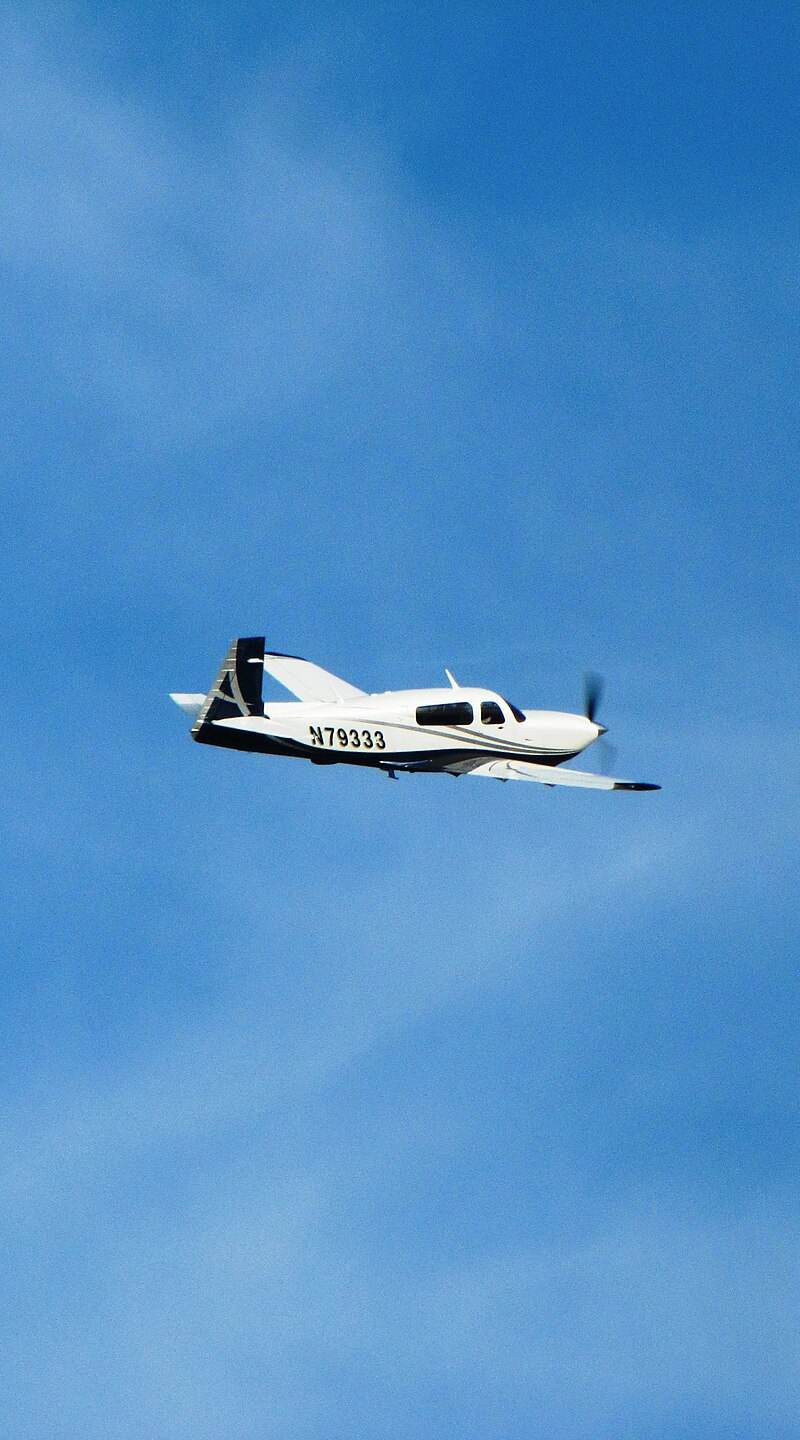 N79333 - Single-engine aircraft